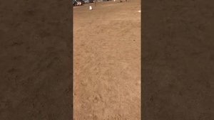Роскошный Отель Джаз Аквамарин/Jaz Aquamarine Resort 5* Хургада-Египет 2021.Гуляем по территории.