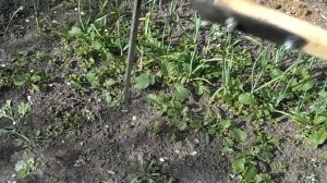 Как работает плоскорез Фокина