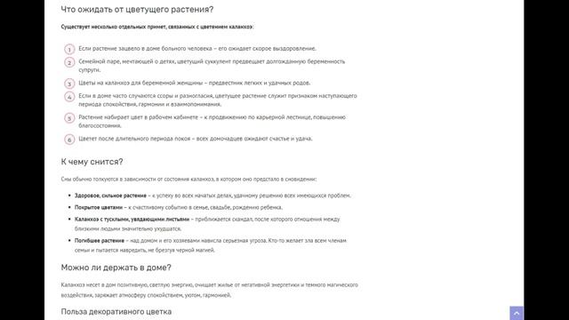 Декоративный цветок Каланхоэ – умелый лекарь и надежный защитник. Приметы и суеверия смотреть онлайн