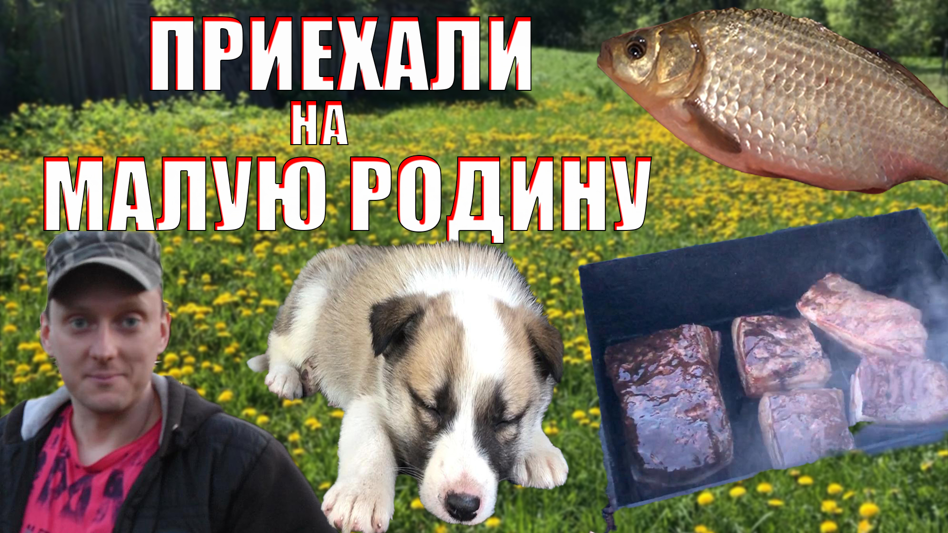 ВЫХОДНЫЕ в ДЕРЕВНЕ. Замечательный УЛОВ. Рассказы "БЫВАЛОГО"...