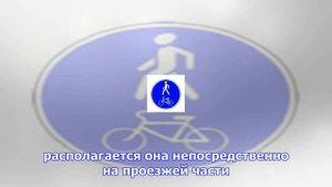 Могут ли пешеходы передвигаться по велосипедным дорожкам?
