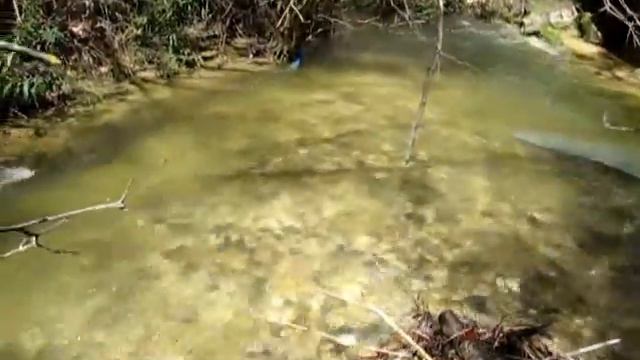 Река смотреть онлайн