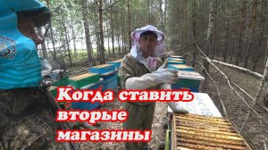 СТАВИМ ВТОРЫЕ МАГАЗИНЫ ПОД МЁД НА СВОИХ ТОЧКАХ ПЧЕЛОСЕМЬЯМ.