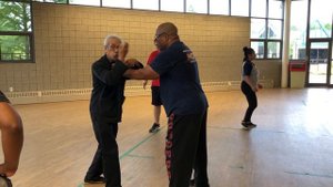 Application of Ngo Cho Kun Technique
