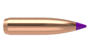 Nosler Ballistic Tip Hunting 6mm/243 90gr/5,8 грамм BC-0,365