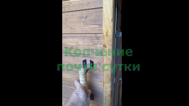Копчение сома.