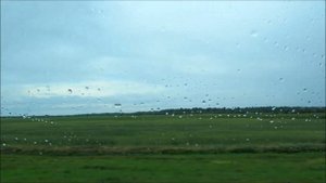 Автопутешествие в Европу: Лето 2014 года. Дорога из Зеленограда до Бреста. день первый. ч. 2