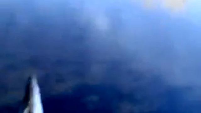 Поймал-Отпустил, р.Ворскла смотреть онлайн