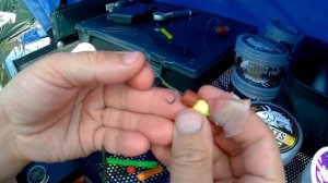 Как поймать карпа в озере Кипень Ленинградской области