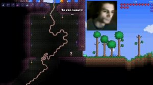 Террария утроба...