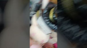 Поющие игрушки Быки В Магазине Игрушек