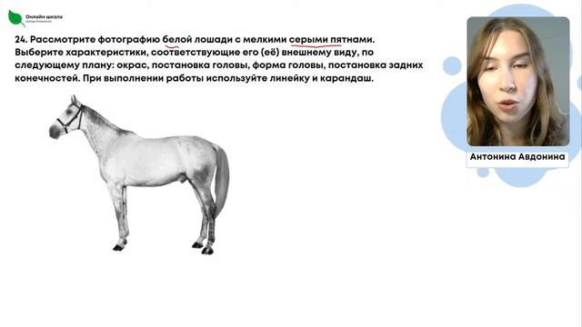 Разбор ОГЭ по Биологии | ОГЭ 2023 смотреть онлайн