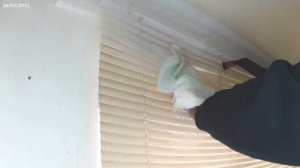 How to clean blinds without taking them down Today  / Best way to clean blinds 2021