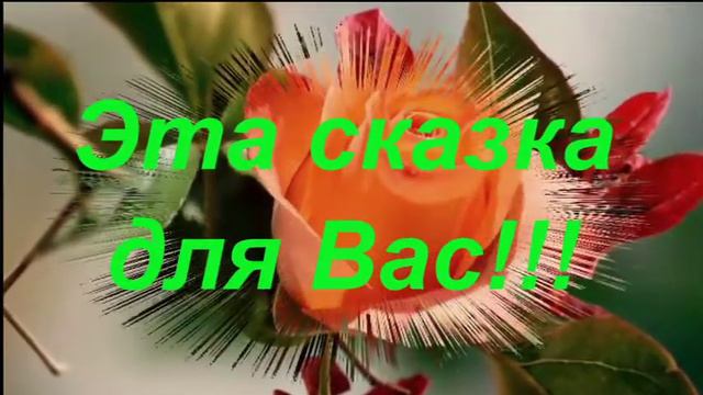 Счастье всё равно находит всех... смотреть онлайн