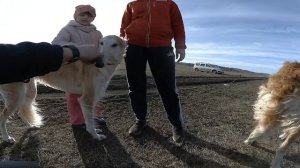 УИППЕТ. СОЦИАЛИЗАЦИЯ.