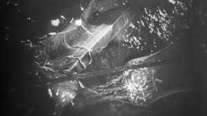 Курильские острова, 1966.
