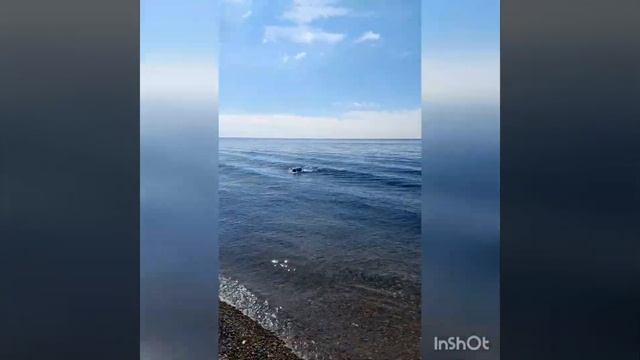 Байкал. Листвянка сентябрь 2022 смотреть онлайн