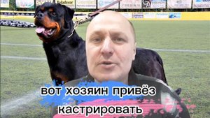 Анекдот про разговор трëх собак в ВетКлинике???
