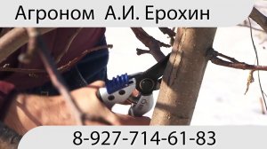 Обрезка сада