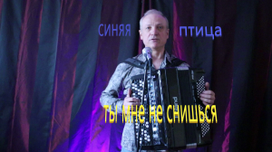 ты мне не снишься***Синяя птица***под баян