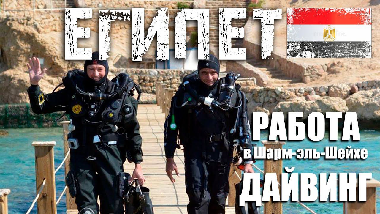 Работа инструктором по дайвингу в Египте смотреть онлайн