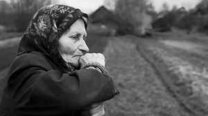 Снегири -  Владимир Кораблин.