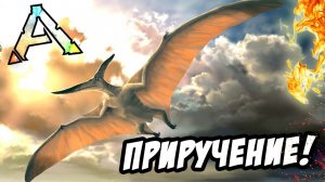 Приручение Птеранодона в АРК! - ARK: Survival Evolved