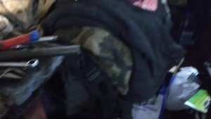 тнвд дэлфи погнал стружку вскрываем разбираем дефектуем