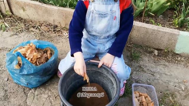 Чайные пакетики для земли. Улучшаем структуру почвы. Всё в дело. #огородныеработы  #garden #чай