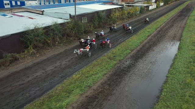 1.10.2022г.Красноярск Приз Памяти С.А. Пруса Лошади Рысистых пород 3-х лет 1600м