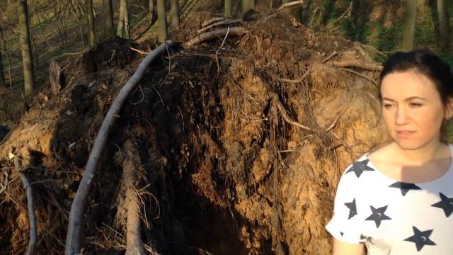 УПАЛО ОГРОМНОЕ ДЕРЕВО С КОРНЕМ в Москве ☯ Культурный код смотреть онлайн