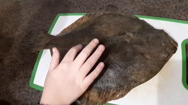 Семья из Мариуполя. Камбала. #мариупольвидео #мариупольсейчас #мариупольсегодня