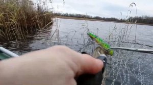 ТРОЛЛИНГ С ЛОДКОЙ КАЛИБРИ КМ-330 new ,ЛОДОЧНЫЙ МОТОР PARSUN 2.6 CBMS !!!16.11.2022 г.