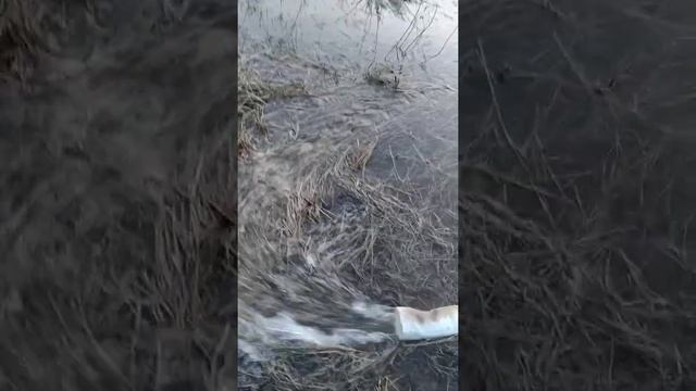 Мотопомпа Huter MP 100 в деле! первый запуск. смотреть онлайн