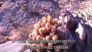 Аффирмации. №416