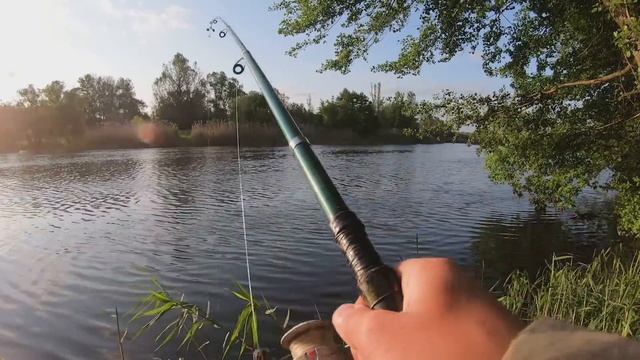 РЫБАЛКА на СОМА в АВГУСТЕ... СОМ БУДЕТ КЛЕВАТЬ, ЕСЛИ ЛОВИТЬ с БЕРЕГА на ВЫПОЛЗКА смотреть онлайн