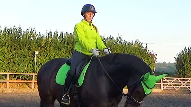 How To Change Your Dressage / Schooling Whip Hand