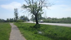 КАМАЗ 4310 | KAMAZ 4310