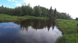 Рыбалка на спиннинг и вертушки,вечерний выход