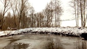 Копаем пруд на даче, для разведения Толстолобика 2 часть.