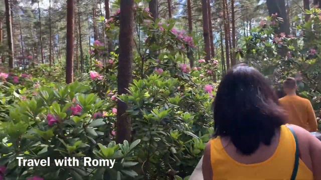 Haaga Rhododendron Park II summer flower II Finland 2022 смотреть онлайн