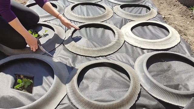 VLOG 11.05.2021 Аля клумбы для Виктории??? смотреть онлайн