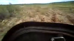 поездка по болоту на МТЛБ