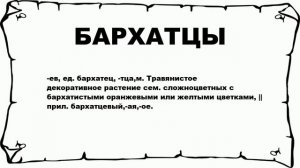 БАРХАТЦЫ - что это такое? значение и описание