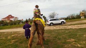 Калмыкия, что посмотреть за 2 дня?