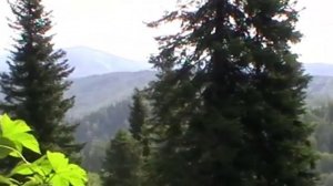 Природа Кузбасса