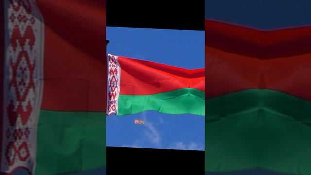 спасибо, Лукашенко! #россия #беларусь #россияибеларусь #дружба