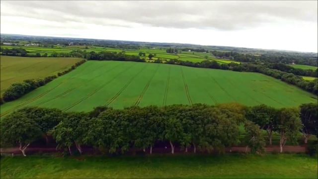 Темные аллеи смотреть онлайн