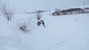 катульки на саммит 600