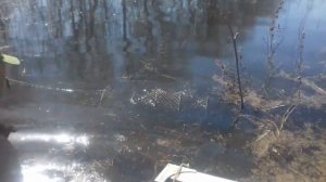 Ловля рыбы на вершу весной на разливах,супер улов.